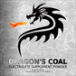 Dragon's Coal: Electrolyte Supplement Powder with Organic Activated Charcoal